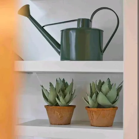 Apartment Kiko Design