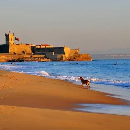 Kiko Design Carcavelos (Lisbon)